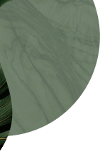 BG Logo